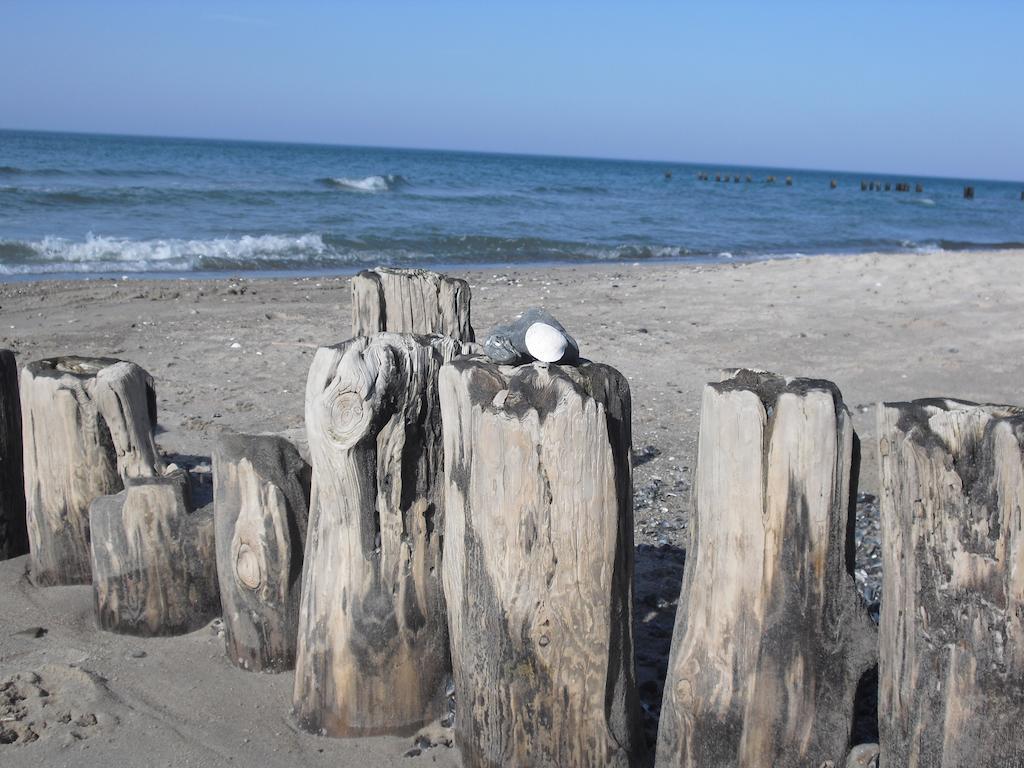 Hotel Zur Ostsee Graal-Mueritz Exteriér fotografie